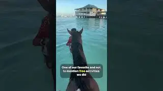 Comment &ldquo;Barbados&rdquo; and I&rsquo;ll send you the FULL guide- tips, what to know about each attraction and