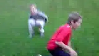 Doddler gets wiped out
