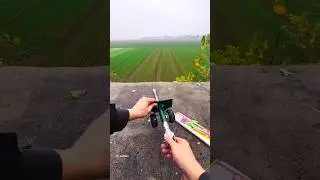 Animals do not go near crops in China