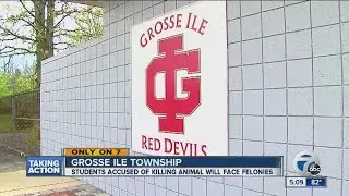Charges expected in Grosse Ile animal cruelty case