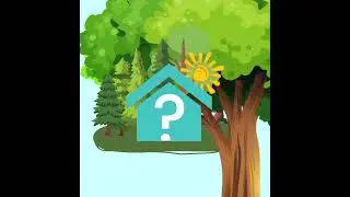 Eco friendly travel. Be green when travelling. Can I offset my travel? Green travel. Eco travel.
