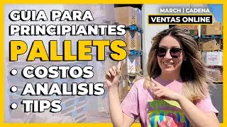 Guía De Principiantes Para Comprar Pallets | ¿Es Buena Idea Comprar Pallets Para Revender Online?