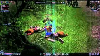 Metin2.CZ (Thalion) FIlIPxP vs. Yellow ghost tiger