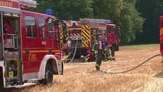 600 Einsätzkräfte bei Waldbrand in Baunatal