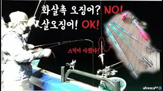 스틱을 이용한 화살촉오징어낚시? NO!! 화살촉오징어를 뛰어넘은 살오징어급의 오징어낚시!