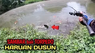 KELIBAT HITAM ADALAH GORGON PENGHUNI KOLAM | CASTING HARUAN DUSUN