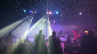 Live Solo Aerial Straps Act Hire - London - Musicians Inc
