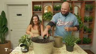 Dream the Big Dream: Oasis Plant Shop