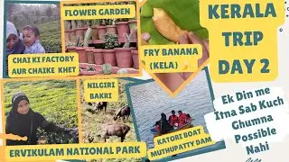 #Kerala Ka Safar | #Munnar | Ervikulam National Park | Tea Factory | #Muthupattidam | Munnar Market