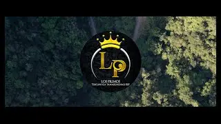 Huapango Carnavalero - Banda Los Primos de Tixcuayuca