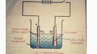 Electrolytic Refining | Hindi/Urdu 