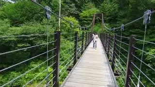 Mashiko no Mori-Mashiko Forest Japan #hikingtrail #Japan #益子の森