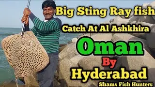 Saltwater fishing !  Big Stingray fish catch