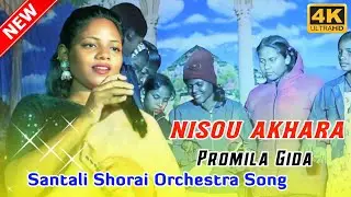 Nisou Akhara || Promila Gida Sohrai Stage Santali Hit Song || Santali Orchestra Video 2024