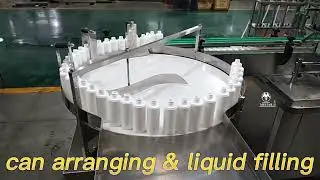 Can Arranging Machine & Liquid filling Machine for Hand Sanitizer 75% Alcohol Disinfectant Liquid