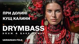 При долині кущ калини — By the Valley a Viburnum Bush — Ukrainian Folk Drum & Bass Remix. DrymBass
