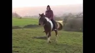 Brass Monkey - Timmy Garbett, Ronny Calow, Moggins