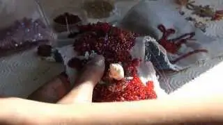 BEADS OF AQUARIUS by Mouna Marini
