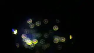 ТАЛ-75R - дублет