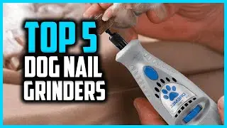 ✅Top 5 Best Dog Nail Grinders in 2025