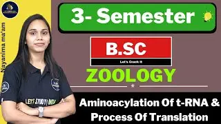 Aminoacylation Of t-RNA & Process Of Translation | B.sc Zoology 3rd Semester | Nayanima Ma'am |