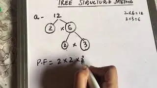 #PrimeFactorization#TreeStructure