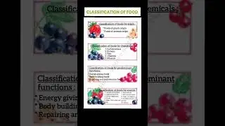 #homescience #homesciencenotes #classificationoffood || Classification of food