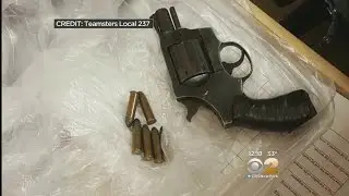 Gun In Queens School