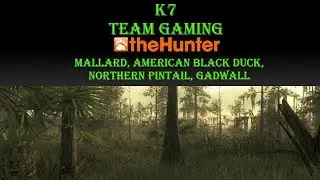 theHunter - Утка (Mallard, American Black Duck, Northern Pintail, Gadwall)