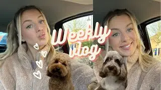 WEEKLY VLOG 2 | Dog grooming | Small business| Bubble tea| Electric shocks