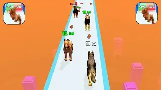 Dog Evolution Run - Level Up Gameplay Levels 1-20  (ios,Android)