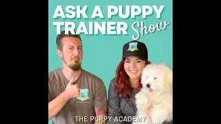 How To Overcome Separation Anxiety | Ep. 228
