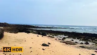 🌋 Peaceful Ocean Walk on a Lava Rock Beach | Relaxing 4K Nature Sounds for Deep Calm