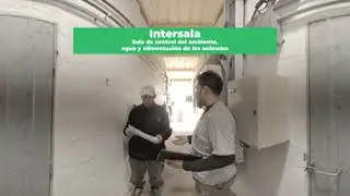 Recorrido virtual por SauceCo