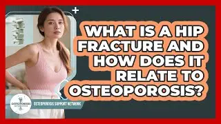What Is A Hip Fracture And How Does It Relate To Osteoporosis? - Osteoporosis Support Network