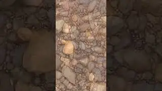 Rock collection, Red jasper stone, Stone river  #gemstone #shorts #short #video