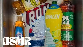 🫧 Roma, Pinalen lemon, clorax dish soap, DG pine + Pine Glo Rinse 🫧 | ASMR Sponge Squeezing