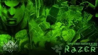 RAZER | SS2K12 SSF4: AE2012 Winners Final: Banbaban [Cammy] Vs Eita [Akuma]
