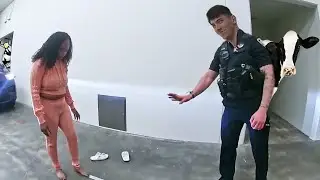 She Can't Even Understand her Sobriety Test!