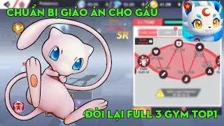 POCKET MEGA #136: CHUẨN BỊ GIÁO ÁN CHO VUA GẤU URSHIFU & CHÍNH THỨC ĐÒI LẠI 3 GYM TOP1 !!!