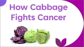 How Cabbage Fights Cancer