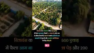 6000 acre reliance mango farm #motivation #reels #facts #factsnmotivation