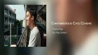 Cantankerous Cats Cohere