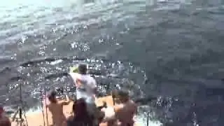SeaFix