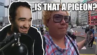 NickGlitchWolf Reacts to Best Twitch Fails Compilation #198 (xQc, Tyler1...) by Top Kek