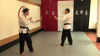 Pa-Kua Martial Arts - Hip Throw