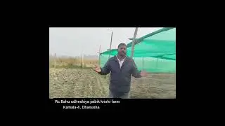 RC krishi bahudhesiya jaibik farm kamala 4 - kashim ji
