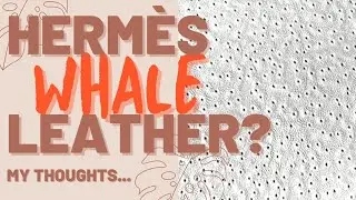 HERM&Egrave;S BELUGA WHALE LEATHER? | MY THOUGHTS