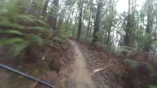 Ldtr buxton ride