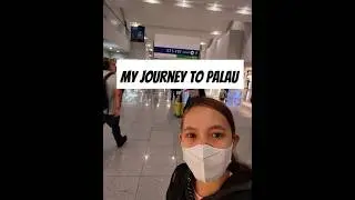 My Journey To The Republic Of Palau
